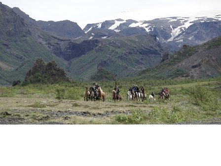 Riding with the Herd in Iceland 